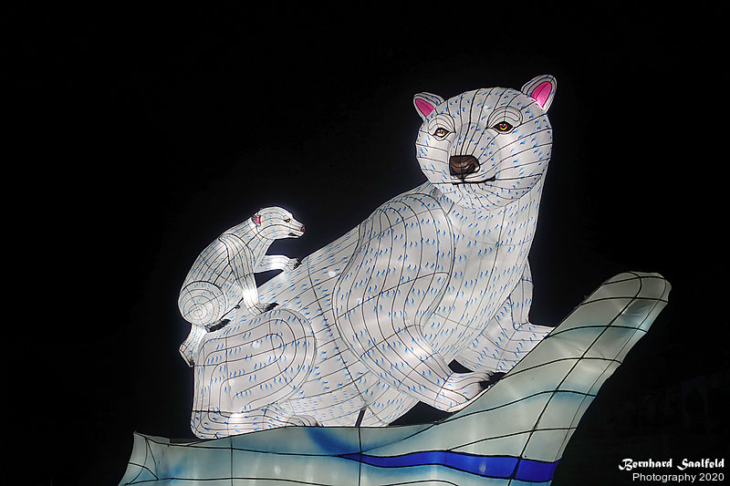 Bernhard Saalfeld - China-Light-Festival 2020 (2v9)